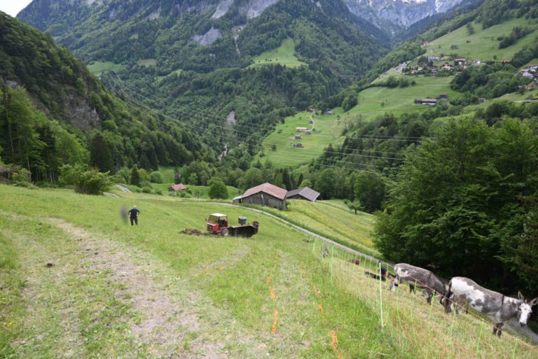 übersicht sg