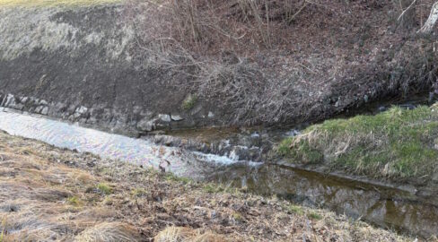 Kaltbrunn, Uznach: Dieselfilm im Steinenbach und Rotfarbkanal