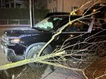 Aarburg AG: Jeep-Lenkerin (19) nickt ein – kracht in Baum