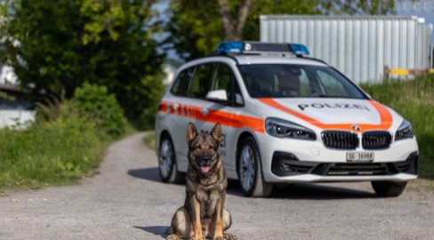 Ermenswil SG: Hund Erol stoppt Autodieb (16) – Porsche geklaut