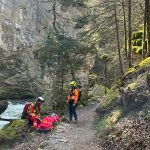 Troinex GE: Gleitschirmpilotin stürzt ab – Rega-Einsatz
