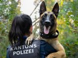 Brugg AG: Polizeihund Malouk schnappt 3 Kupferdiebe