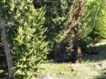 Bad Ragaz SG: Brand zerstört Jagd-Hochsitz – Spurensuche