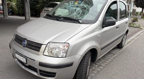 Widnau SG: Unfall – Auto erfasst Blindenhund und Herrchen