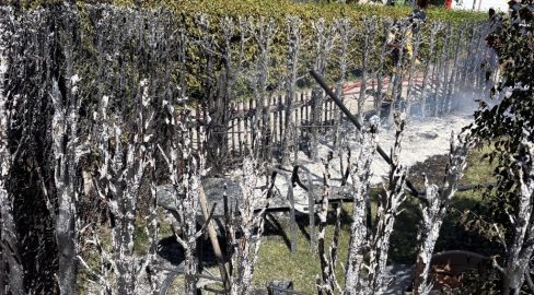 Wil SG: Heckenbrand nach Unkraut-Brenner – Feuerwehr vor Ort