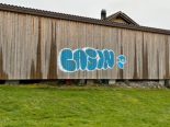 Ein mutmaßlicher Graffiti-Künstler auf frischer Tat ertappt Veröffentlicht am06.05.2026-Kategorie:Staatsanwaltschaft Ein 22-jähriger Mann aus Vevey, der im Verdacht steht, zwischen August 2025 und Februar 2026 in den Städten Oron-la-Ville und Vevey zahlreiche Graffiti und Tags angebracht zu haben, wurde zusammen mit einem Komplizen festgenommen. Sie wurden der Staatsanwaltschaft Ost-Waadt gemeldet. .- Seit August 2025 führt die Graffiti-Einheit der Kantonspolizei Waadt Ermittlungen zu einer Reihe von Graffiti und Tags in Oron-la-Ville und Vevey durch. Zwischen August 2025 und Februar 2026 wurden insgesamt mindestens 16 Strafanzeigen wegen Sachbeschädigung erstattet. Beschädigt wurden Privateigentum, öffentliche Gebäude und Stadtmobiliar. Der Gesamtschaden wird auf mehrere Zehntausend Schweizer Franken geschätzt. Die Staatsanwaltschaft des Ostwaadtlandes hat nach Kenntnisnahme des Sachverhalts ein Strafverfahren eingeleitet. Im Januar 2026 wurden zwei junge Männer im Alter von 19 und 22 Jahren von Beamten der mobilen Gendarmerieeinheit Blécherette auf frischer Tat ertappt, als einer von ihnen unter einer Brücke der Autobahn A9 bei Mont-sur-Lausanne Graffiti sprühte. Farbdosen und mehrere Marker wurden sichergestellt. Die beiden Verdächtigen, Schweizer Staatsangehörige mit Wohnsitz im Kanton, wurden wenige Tage später von Beamten der Graffiti-Einheit vernommen. Der 22-jährige Angeklagte soll auch für Dutzende Graffiti und Tags in den Gemeinden Oron-la-Ville und Vevey verantwortlich sein. Nach der Vernehmung wurden beide Angeklagten von der Polizei freigelassen und stehen weiterhin den Strafverfolgungsbehörden zur Verfügung.