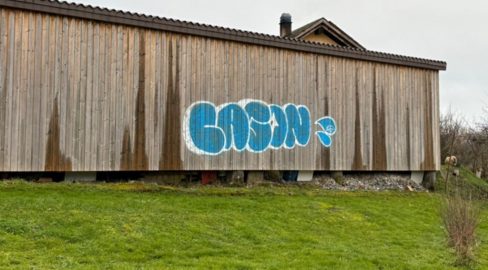 Ein mutmaßlicher Graffiti-Künstler auf frischer Tat ertappt Veröffentlicht am06.05.2026-Kategorie:Staatsanwaltschaft Ein 22-jähriger Mann aus Vevey, der im Verdacht steht, zwischen August 2025 und Februar 2026 in den Städten Oron-la-Ville und Vevey zahlreiche Graffiti und Tags angebracht zu haben, wurde zusammen mit einem Komplizen festgenommen. Sie wurden der Staatsanwaltschaft Ost-Waadt gemeldet. .- Seit August 2025 führt die Graffiti-Einheit der Kantonspolizei Waadt Ermittlungen zu einer Reihe von Graffiti und Tags in Oron-la-Ville und Vevey durch. Zwischen August 2025 und Februar 2026 wurden insgesamt mindestens 16 Strafanzeigen wegen Sachbeschädigung erstattet. Beschädigt wurden Privateigentum, öffentliche Gebäude und Stadtmobiliar. Der Gesamtschaden wird auf mehrere Zehntausend Schweizer Franken geschätzt. Die Staatsanwaltschaft des Ostwaadtlandes hat nach Kenntnisnahme des Sachverhalts ein Strafverfahren eingeleitet. Im Januar 2026 wurden zwei junge Männer im Alter von 19 und 22 Jahren von Beamten der mobilen Gendarmerieeinheit Blécherette auf frischer Tat ertappt, als einer von ihnen unter einer Brücke der Autobahn A9 bei Mont-sur-Lausanne Graffiti sprühte. Farbdosen und mehrere Marker wurden sichergestellt. Die beiden Verdächtigen, Schweizer Staatsangehörige mit Wohnsitz im Kanton, wurden wenige Tage später von Beamten der Graffiti-Einheit vernommen. Der 22-jährige Angeklagte soll auch für Dutzende Graffiti und Tags in den Gemeinden Oron-la-Ville und Vevey verantwortlich sein. Nach der Vernehmung wurden beide Angeklagten von der Polizei freigelassen und stehen weiterhin den Strafverfolgungsbehörden zur Verfügung.