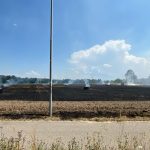 Biberist SO: Feldbrand legt Grüttstrasse lahm – 3h Sperrung