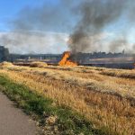 Gunzgen SO: Brand auf Stoppelfeld – Feuerwehren im Grosseinsatz