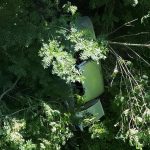 Heiden AR: Unfall – Veteranen-PW stürzt, Lenker (62) ins Spital