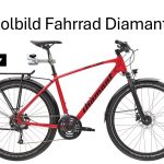 Malters LU: Vermisst – Wilhelm Lötscher auf rotem Diamant-Velo