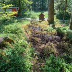 Schwarzenberg LU: Kerze zündet Flurbrand – Zeugen gesucht