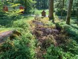 Schwarzenberg LU: Kerze zündet Flurbrand – Zeugen gesucht