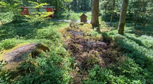 Schwarzenberg LU: Kerze zündet Flurbrand – Zeugen gesucht