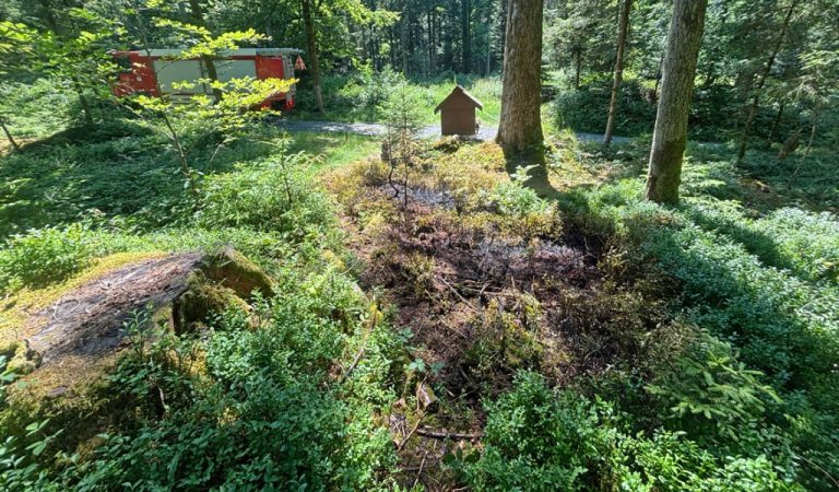 Schwarzenberg LU: Kerze zündet Flurbrand – Zeugen gesucht