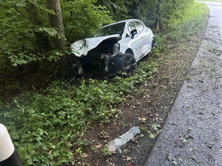 Zetzwil AG: Renault Clio kracht in Baum – Lenker (20) verletzt