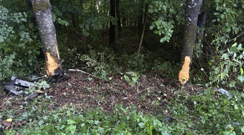 Zetzwil AG: Renault Clio kracht in Baum – Lenker (20) verletzt
