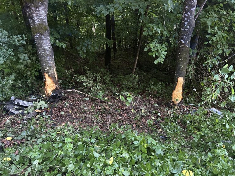 Zetzwil AG: Renault Clio kracht in Baum – Lenker (20) verletzt