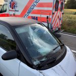 Warth-Weiningen TG: Rollerfahrer stirbt – Crash, Vollsperre