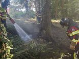 Braunau TG: Feuer im Underheid-Wald – Glutnester gelöscht