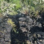 Ennetbaden AG: Flurbrand am Lägerngrat – Heli entdeckt Feuer