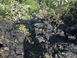 Ennetbaden AG: Flurbrand am Lägerngrat – Heli entdeckt Feuer