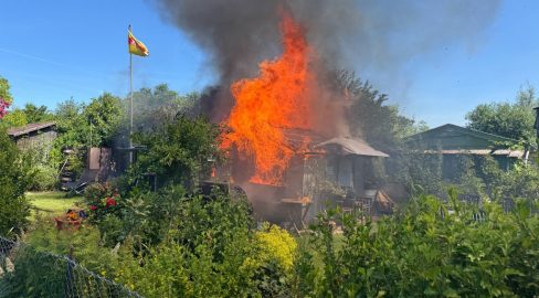 Tägerwilen TG: Defekt löst Brand in Schrebergartenhaus aus