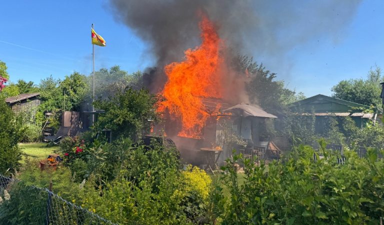 Tägerwilen TG: Defekt löst Brand in Schrebergartenhaus aus