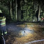Sirnach TG: 300-m2-Waldbrand am Sirnachbärg – Zeugen gesucht