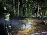 Sirnach TG: 300-m2-Waldbrand am Sirnachbärg – Zeugen gesucht
