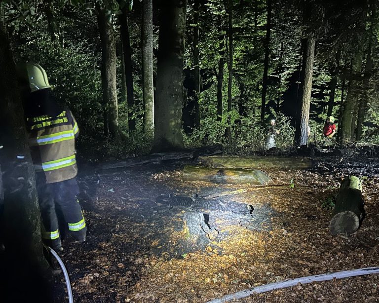 Sirnach TG: 300-m2-Waldbrand am Sirnachbärg – Zeugen gesucht