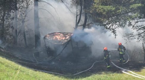 Bonaduz GR: Brand vernichtet Bienenhaus – Retter kollabieren