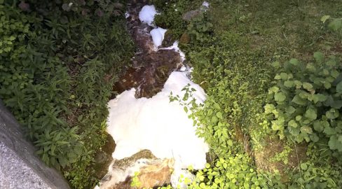 Bazenheid SG: Schaumteppich im Allmendbach – Pumpwerke gestoppt