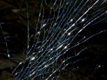 Wallbach AG: Einbruch in Waffenladen – 2 Polizisten verletzt