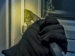 St. Gallen SG: Einbrecher (18) nach Diebstahl-Serie geschnappt