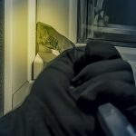 Dottikon AG: Polizei fasst Hofladen-Blumenkassen-Diebe
