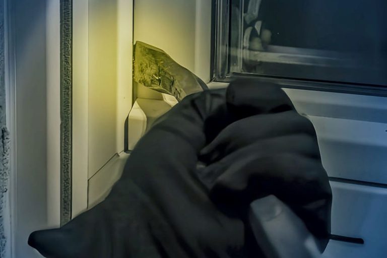 Dottikon AG: Polizei fasst Hofladen-Blumenkassen-Diebe