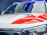 Tiere auf Fahrbahn: Behinderung auf Route de Fribourg