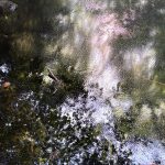 Ricken SG: 10 Liter Öl im Bildhausweiher – Feuerwehr im Einsatz
