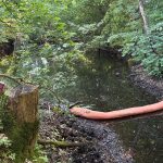 Ricken SG: 10 Liter Öl im Bildhausweiher – Feuerwehr im Einsatz