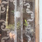 Reute AR: Kugel verfehlt Krähe – durchschlägt Fenster