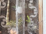Reute AR: Kugel verfehlt Krähe – durchschlägt Fenster