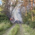 Sevelen SG: Brand im Wald neben A13 – Feuer rasch gelöscht