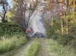 Sevelen SG: Brand im Wald neben A13 – Feuer rasch gelöscht