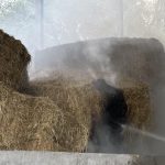 Sennwald SG: Heu gerät in Brand – 35 Feuerwehrleute im Einsatz