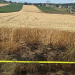 Stüsslingen SO: Brand an Ballenpresse greift auf Felder über