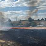 Breitenbach SO: Wind facht Brand auf 35-Aren-Stoppelfeld an