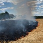 Breitenbach SO: Wind facht Brand auf 35-Aren-Stoppelfeld an
