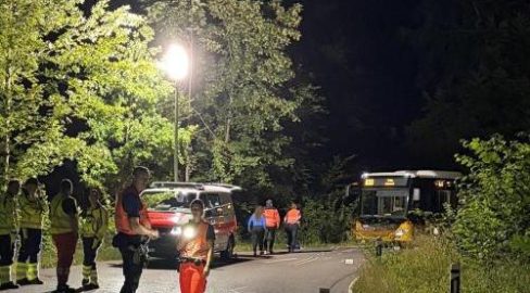 Unfall in Wila ZH: Töfflenker (19) nach Crash schwer verletzt