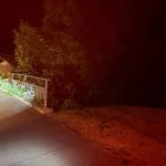 Villmergen AG: Promillefahrer setzt Opel in Gebüsch – Unfall